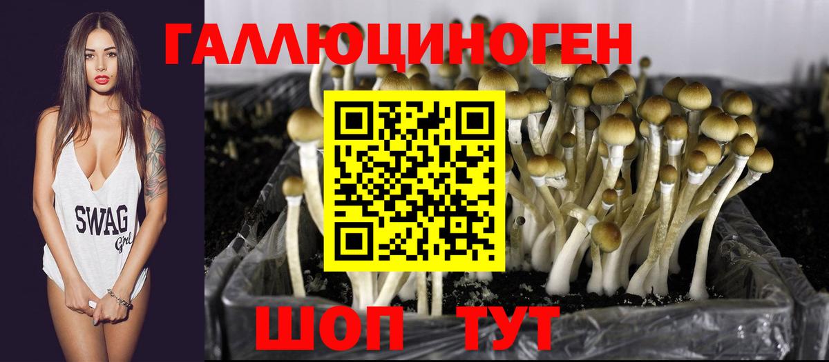 Псилоцибиновые грибы мицелий Котельники